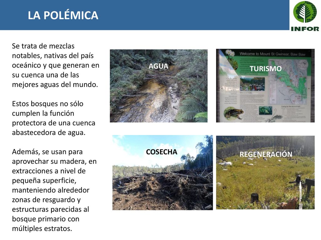 LA POLÉMICA Se trata de mezclas notables, nativas del país oceánico y que generan en su cuenca una de las mejores aguas del mundo.