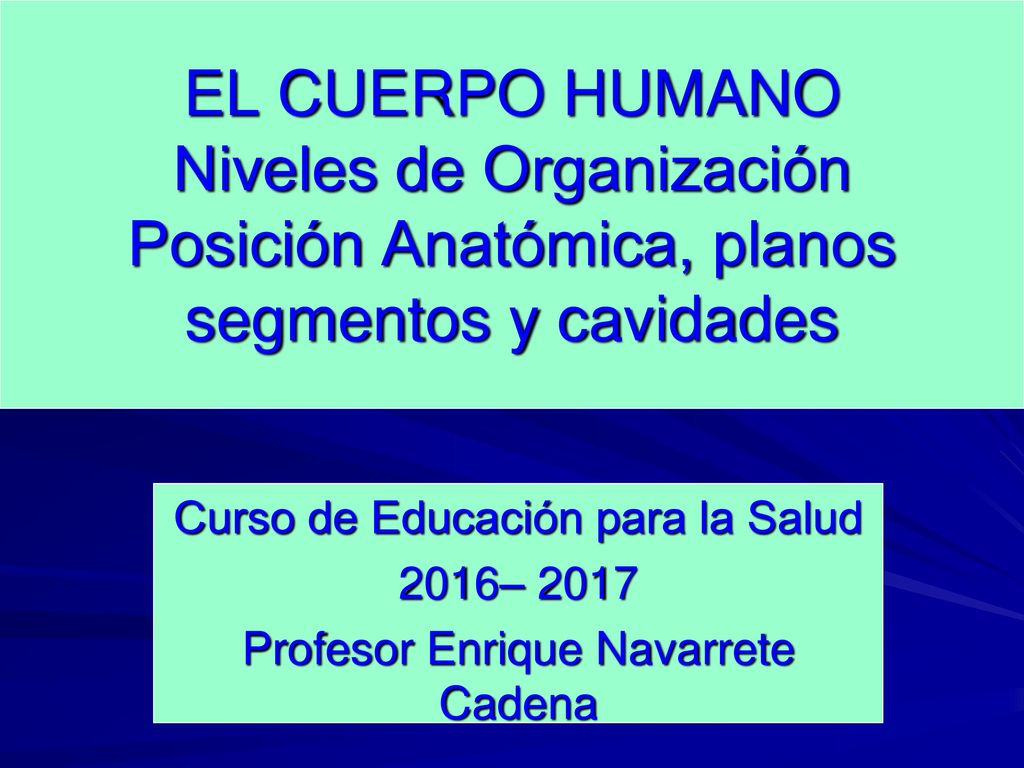 EL CUERPO HUMANO Niveles de Organización Posición Anatómica, planos segmentos y cavidades