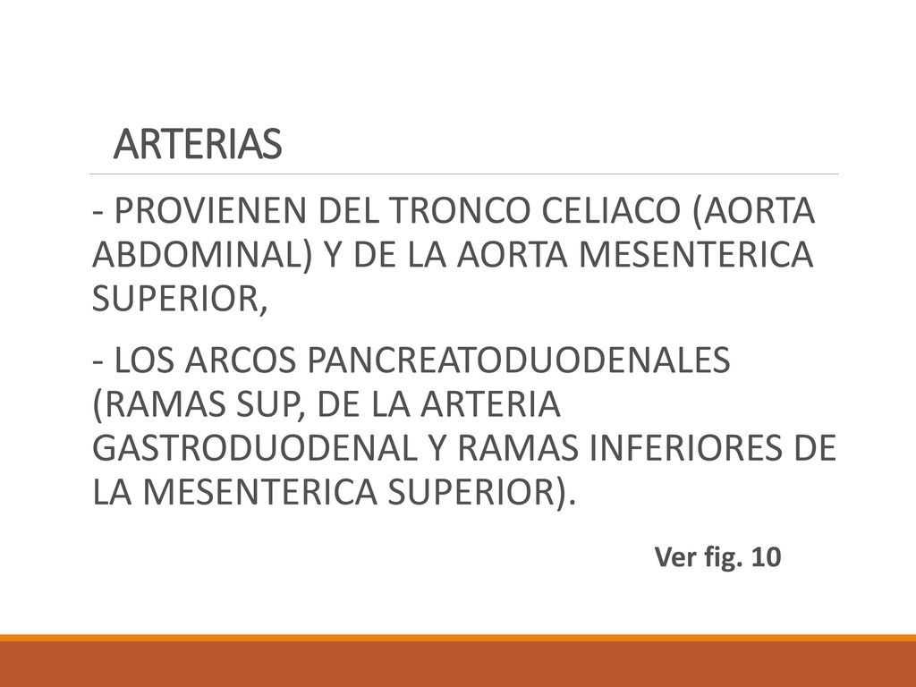 ARTERIAS - PROVIENEN DEL TRONCO CELIACO (AORTA ABDOMINAL) Y DE LA AORTA MESENTERICA SUPERIOR,