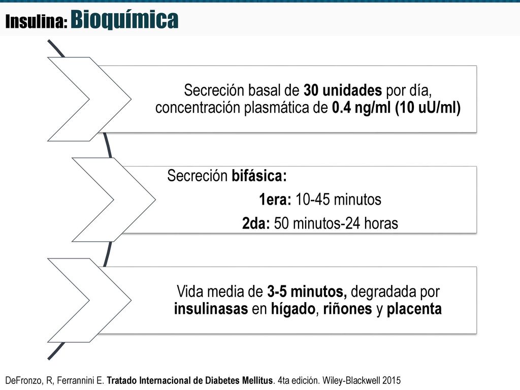 Insulina: Bioquímica Secreción basal de 30 unidades por día, concentración plasmática de 0.4 ng/ml (10 uU/ml)