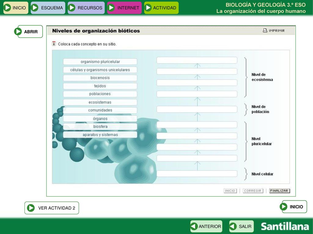 INICIO ESQUEMA RECURSOS INTERNET ACTIVIDAD ABRIR VER ACTIVIDAD 2 INICIO ANTERIOR SALIR