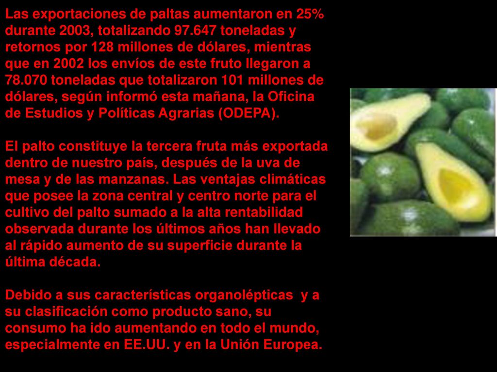 Las exportaciones de paltas aumentaron en 25% durante 2003, totalizando toneladas y retornos por 128 millones de dólares, mientras que en 2002 los envíos de este fruto llegaron a toneladas que totalizaron 101 millones de dólares, según informó esta mañana, la Oficina de Estudios y Políticas Agrarias (ODEPA).
