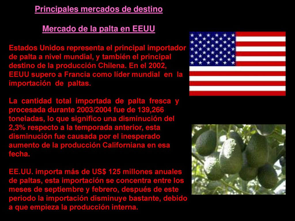 Principales mercados de destino Mercado de la palta en EEUU