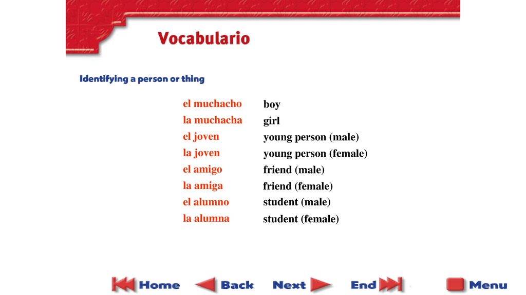el muchacho la muchacha. el joven. la joven. el amigo. la amiga. el alumno. la alumna. boy. girl.