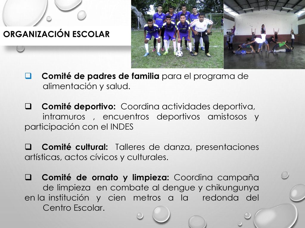 Organización escolar Comité de padres de familia para el programa de. alimentación y salud. Comité deportivo: Coordina actividades deportiva,