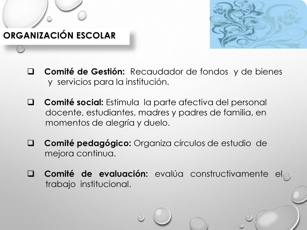 Organización escolar Comité de Gestión: Recaudador de fondos y de bienes y servicios para la institución.