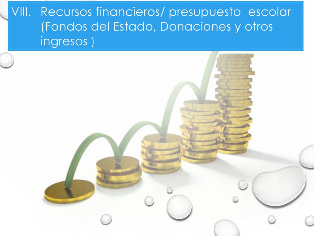 Recursos financieros/ presupuesto escolar (Fondos del Estado, Donaciones y otros ingresos )