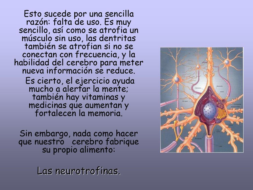 Esto sucede por una sencilla razón: falta de uso