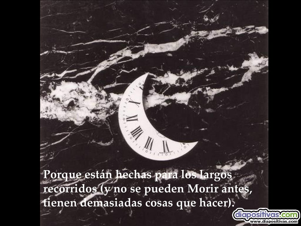 Porque están hechas para los largos recorridos (y no se pueden Morir antes, tienen demasiadas cosas que hacer).