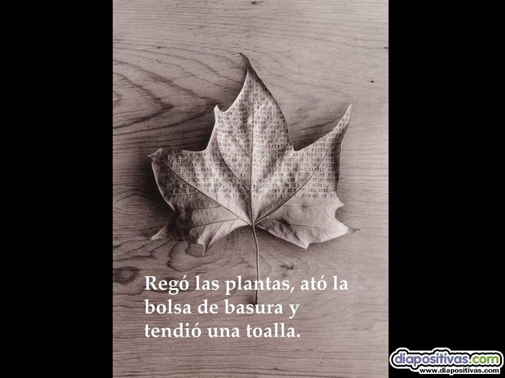 Regó las plantas, ató la bolsa de basura y tendió una toalla.