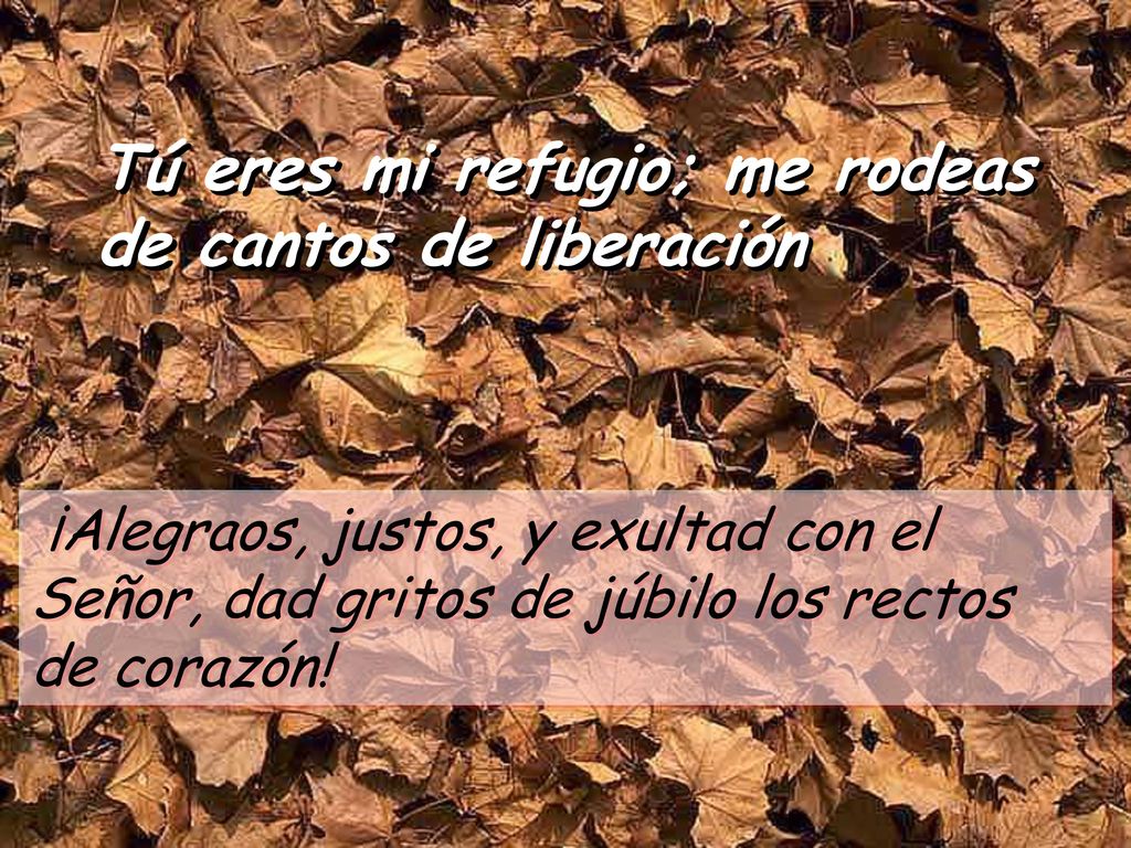 Tú eres mi refugio; me rodeas de cantos de liberación