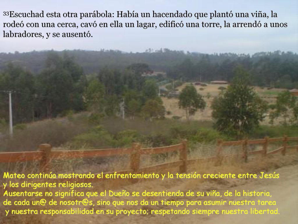 33Escuchad esta otra parábola: Había un hacendado que plantó una viña, la rodeó con una cerca, cavó en ella un lagar, edificó una torre, la arrendó a unos labradores, y se ausentó.