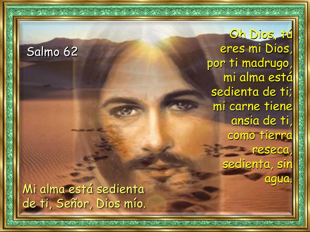 Mi alma está sedienta de ti, Señor, Dios mío.