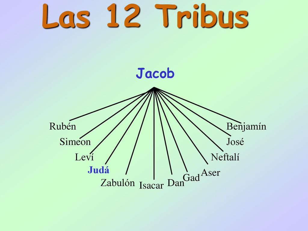 Las 12 Tribus Jacob Rubén Benjamín Simeon José Leví Neftalí Judá Aser