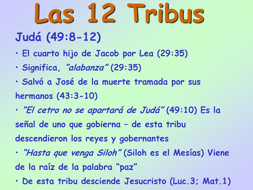 Las 12 Tribus Judá (49:8-12) El cuarto hijo de Jacob por Lea (29:35)