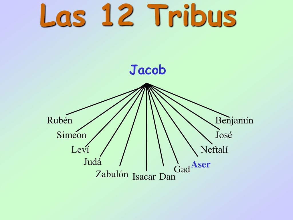 Las 12 Tribus Jacob Rubén Benjamín Simeon José Leví Neftalí Judá Aser