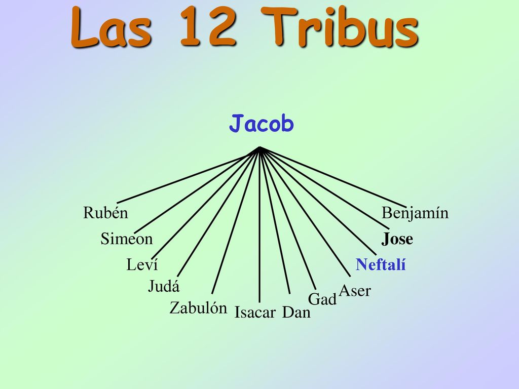 Las 12 Tribus Jacob Rubén Benjamín Simeon Jose Leví Neftalí Judá Aser