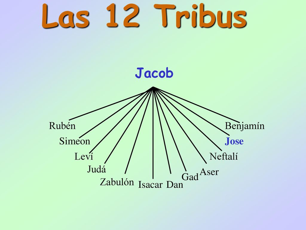 Las 12 Tribus Jacob Rubén Benjamín Simeon Jose Leví Neftalí Judá Aser