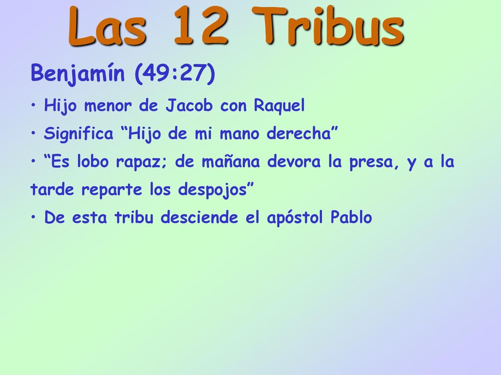 Las 12 Tribus Benjamín (49:27) Hijo menor de Jacob con Raquel