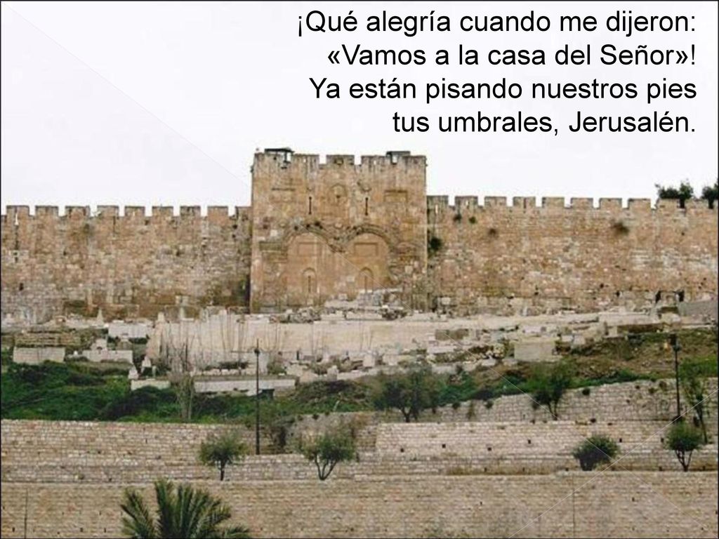 ¡Qué alegría cuando me dijeron: «Vamos a la casa del Señor»
