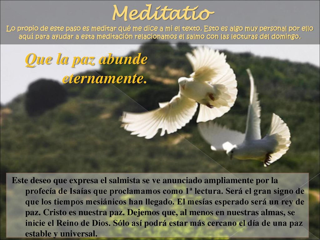 Meditatio Lo propio de este paso es meditar qué me dice a mi el texto