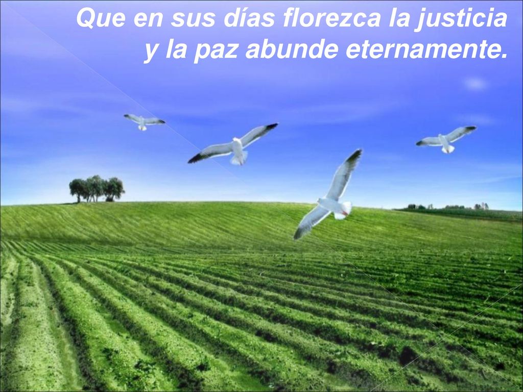 Que en sus días florezca la justicia y la paz abunde eternamente.