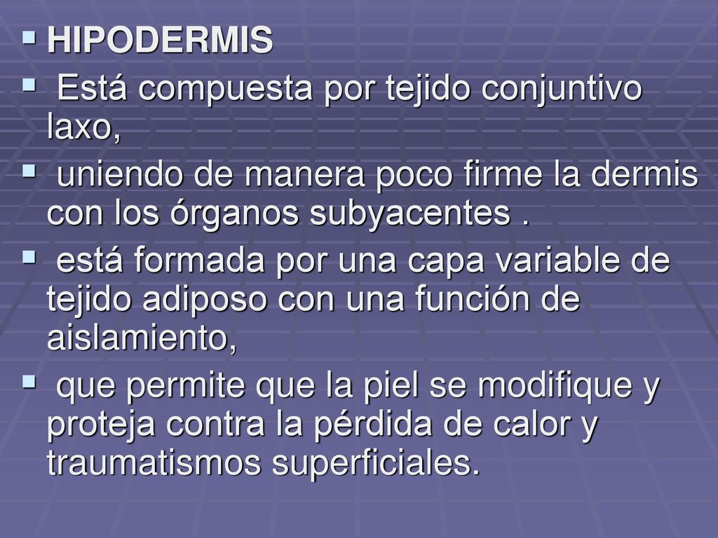 HIPODERMIS Está compuesta por tejido conjuntivo laxo, uniendo de manera poco firme la dermis con los órganos subyacentes .