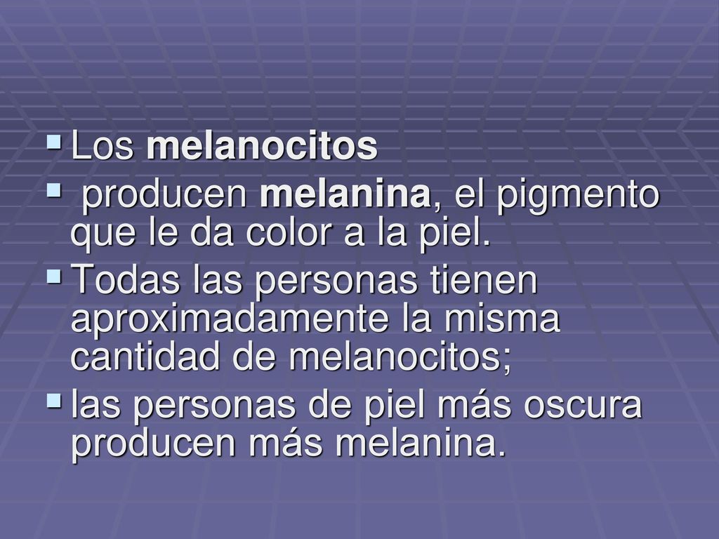 Los melanocitos producen melanina, el pigmento que le da color a la piel.