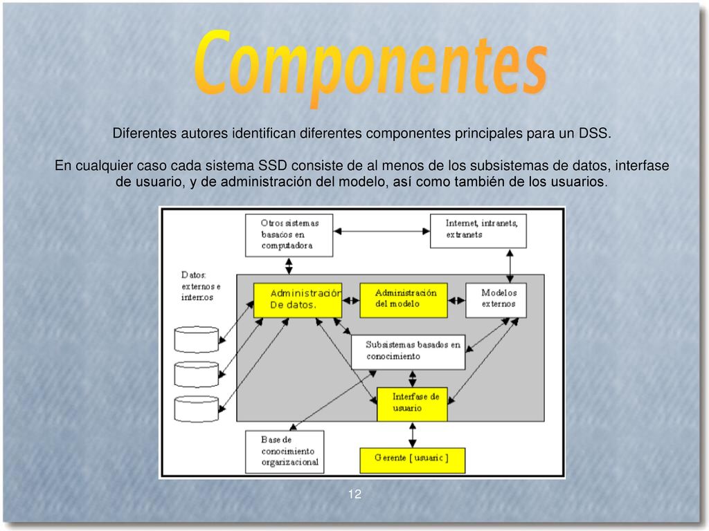 Diferentes autores identifican diferentes componentes principales para un DSS.