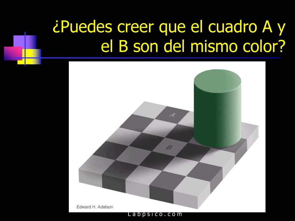 ¿Puedes creer que el cuadro A y el B son del mismo color