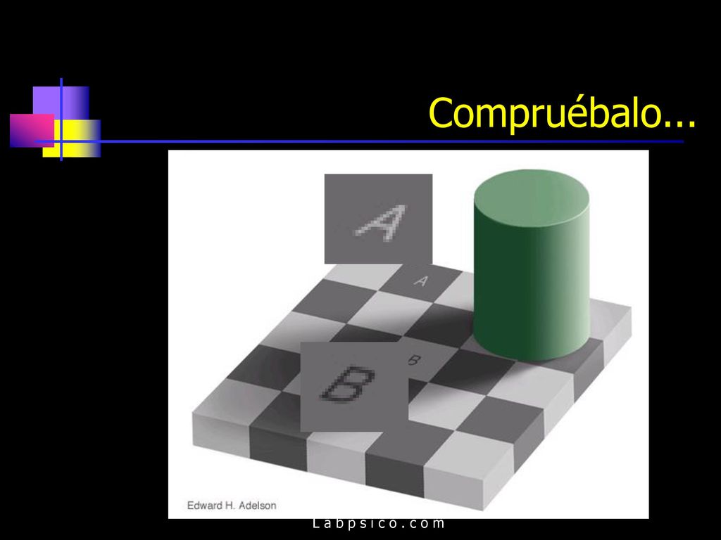 Compruébalo... L a b p s i c o . c o m
