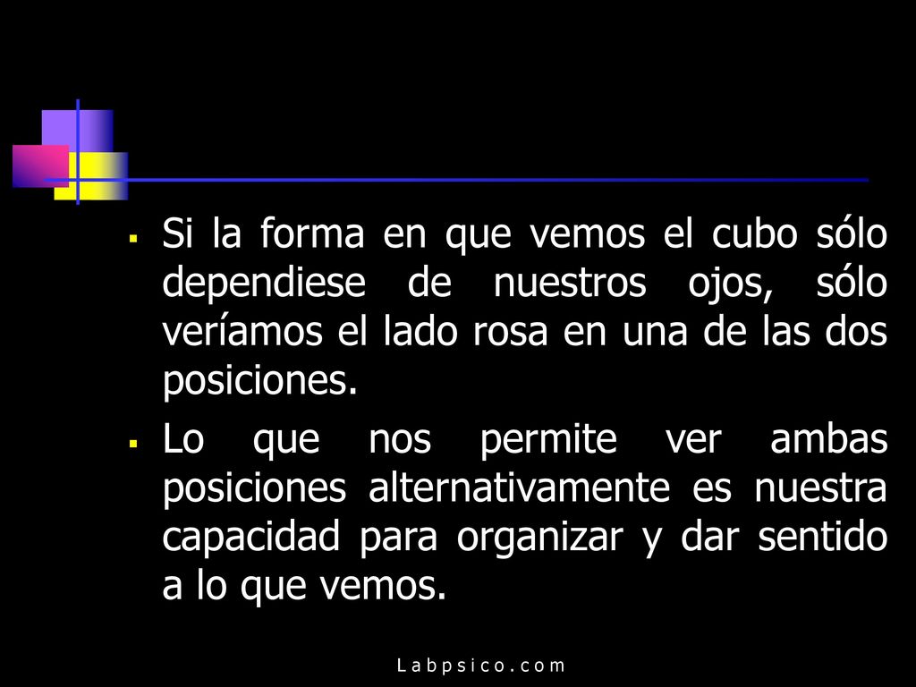 Si la forma en que vemos el cubo sólo dependiese de nuestros ojos, sólo veríamos el lado rosa en una de las dos posiciones.