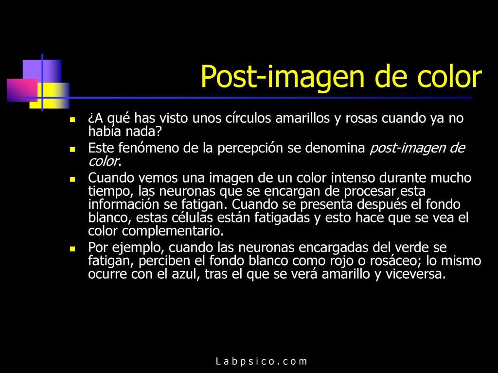 Post-imagen de color ¿A qué has visto unos círculos amarillos y rosas cuando ya no había nada