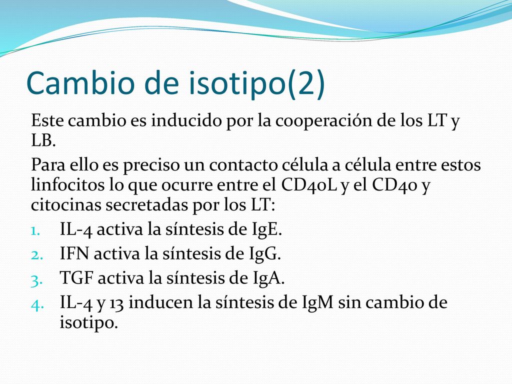 Cambio de isotipo(2) Este cambio es inducido por la cooperación de los LT y LB.