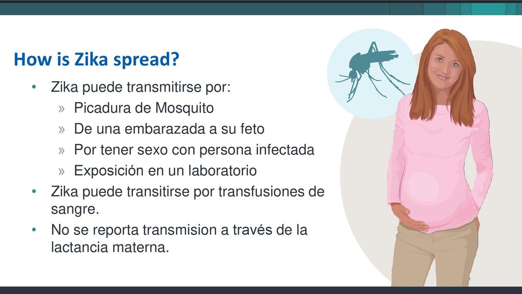 How is Zika spread Zika puede transmitirse por: Picadura de Mosquito. De una embarazada a su feto.