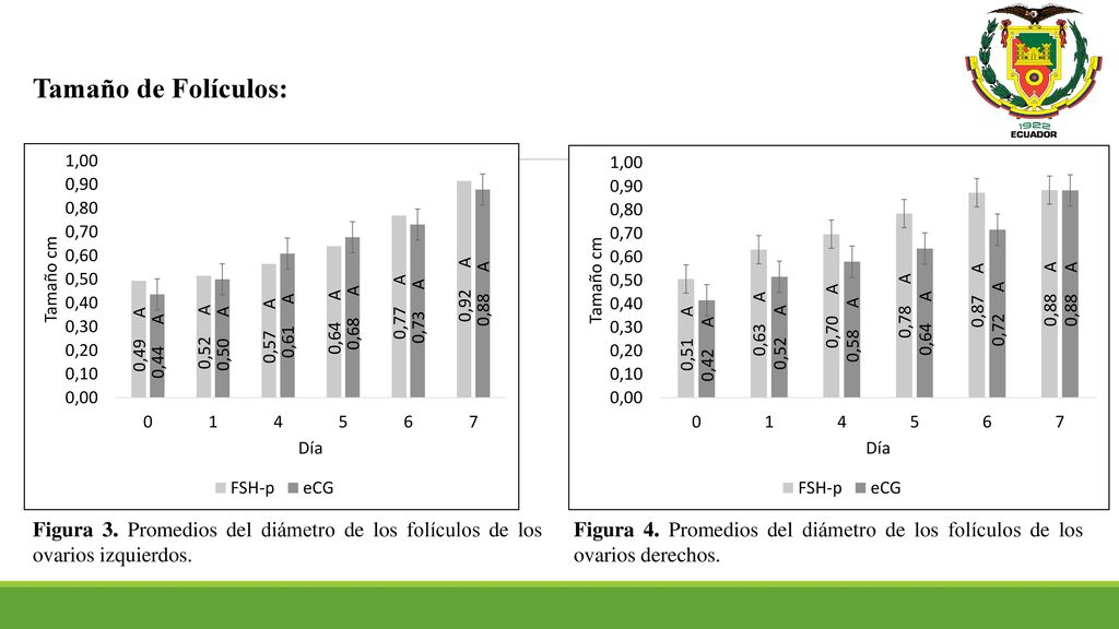 Tamaño de Folículos: Figura 3. Promedios del diámetro de los folículos de los ovarios izquierdos.