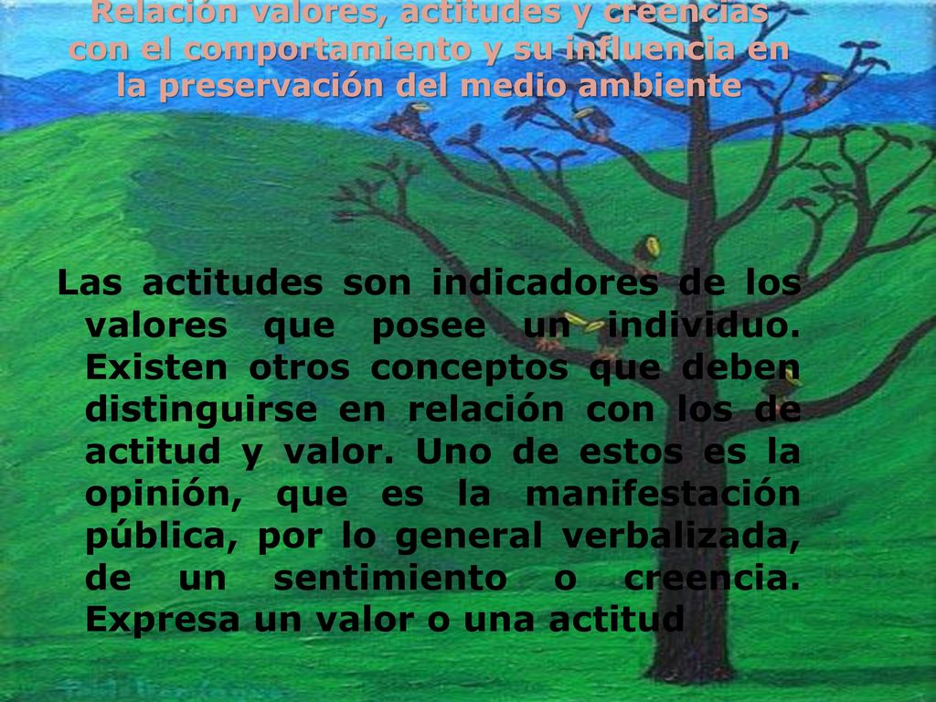Relación valores, actitudes y creencias con el comportamiento y su influencia en la preservación del medio ambiente