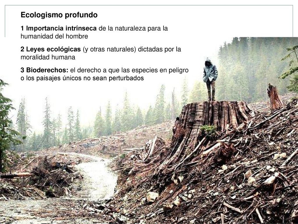 Ecologismo profundo 1 Importancia intrínseca de la naturaleza para la humanidad del hombre.