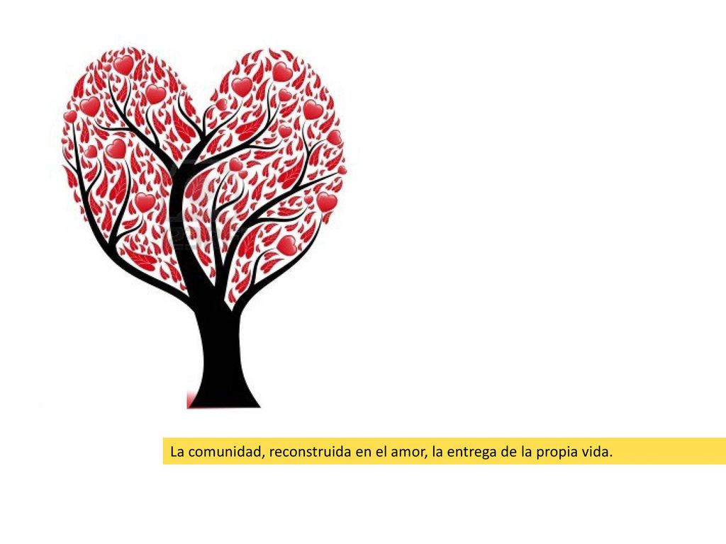 La comunidad, reconstruida en el amor, la entrega de la propia vida.