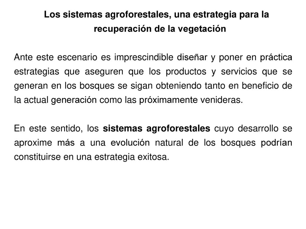 Los sistemas agroforestales, una estrategia para la recuperación de la vegetación