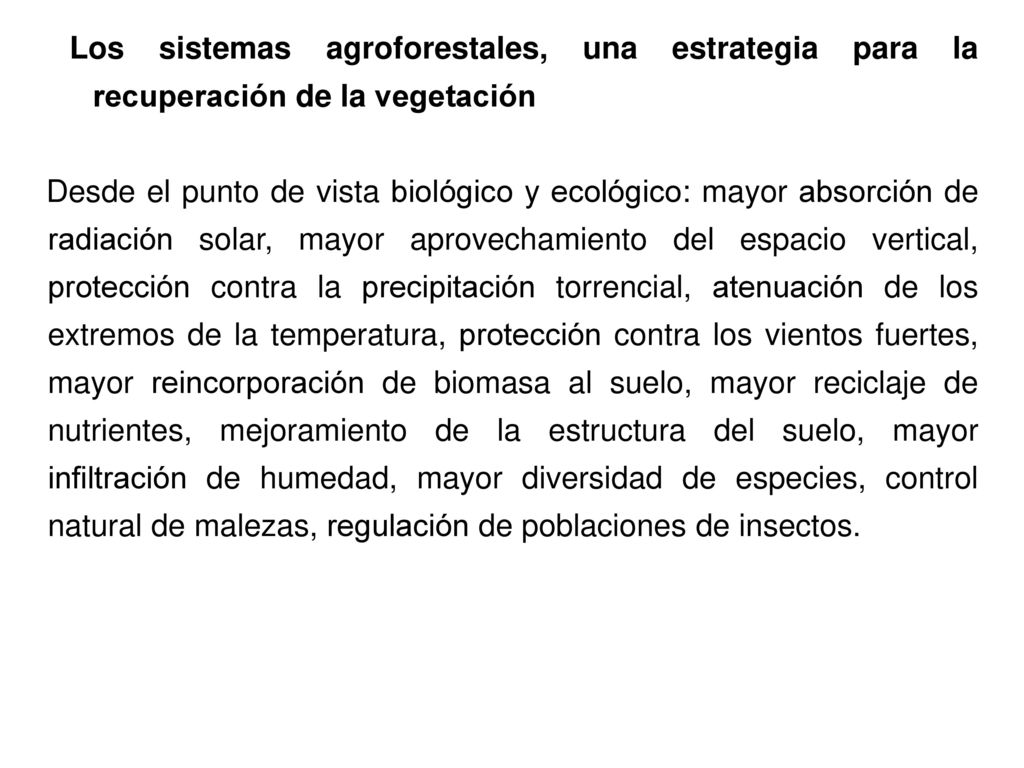 Los sistemas agroforestales, una estrategia para la recuperación de la vegetación