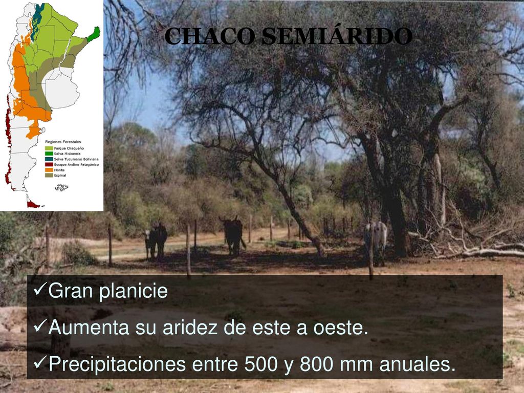 CHACO SEMIÁRIDO Gran planicie Aumenta su aridez de este a oeste.
