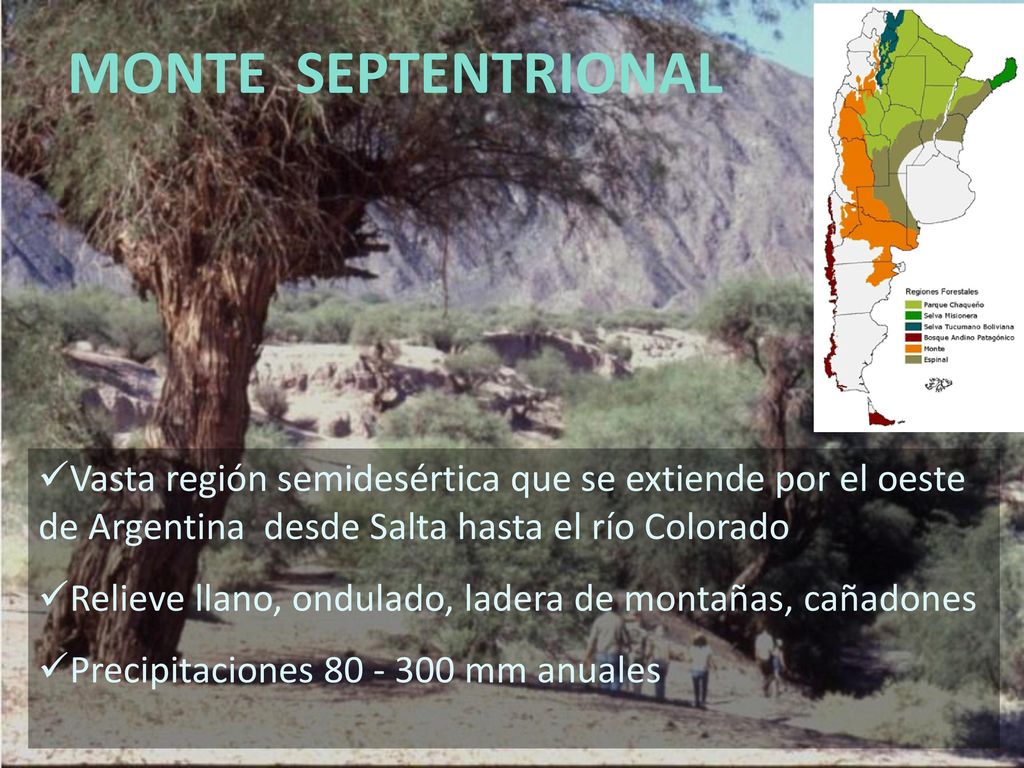 MONTE SEPTENTRIONAL Vasta región semidesértica que se extiende por el oeste de Argentina desde Salta hasta el río Colorado.