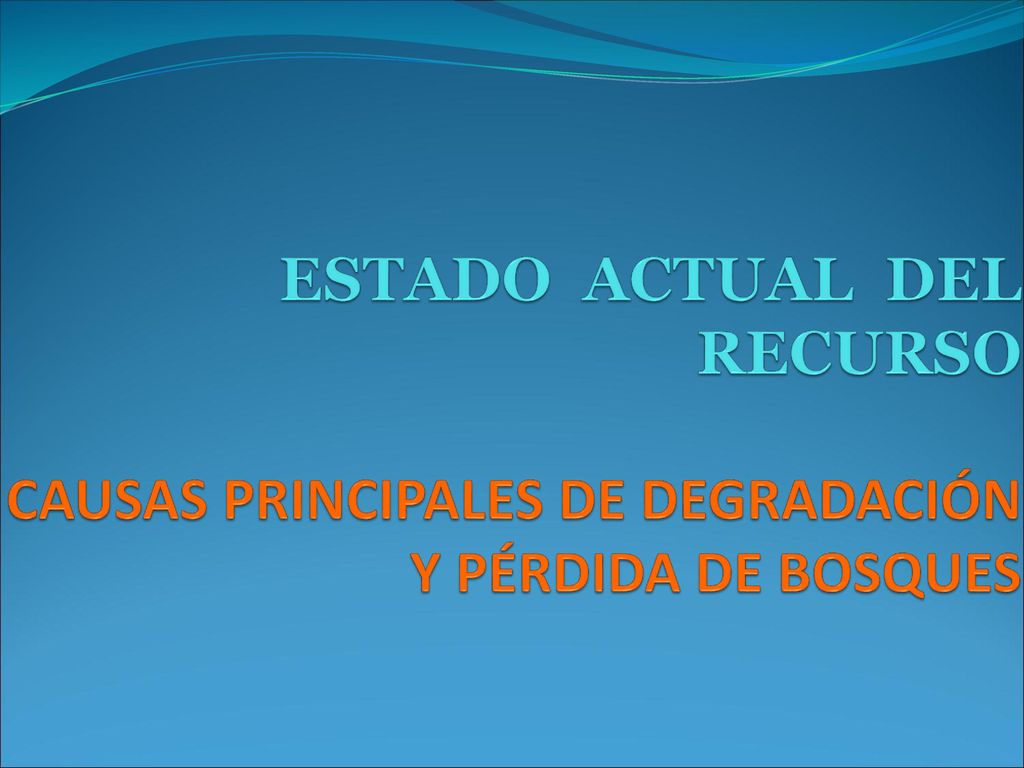 ESTADO ACTUAL DEL RECURSO CAUSAS PRINCIPALES DE DEGRADACIÓN Y PÉRDIDA DE BOSQUES