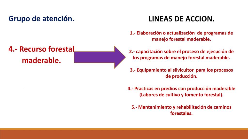 Grupo de atención. 4.- Recurso forestal maderable. LINEAS DE ACCION.