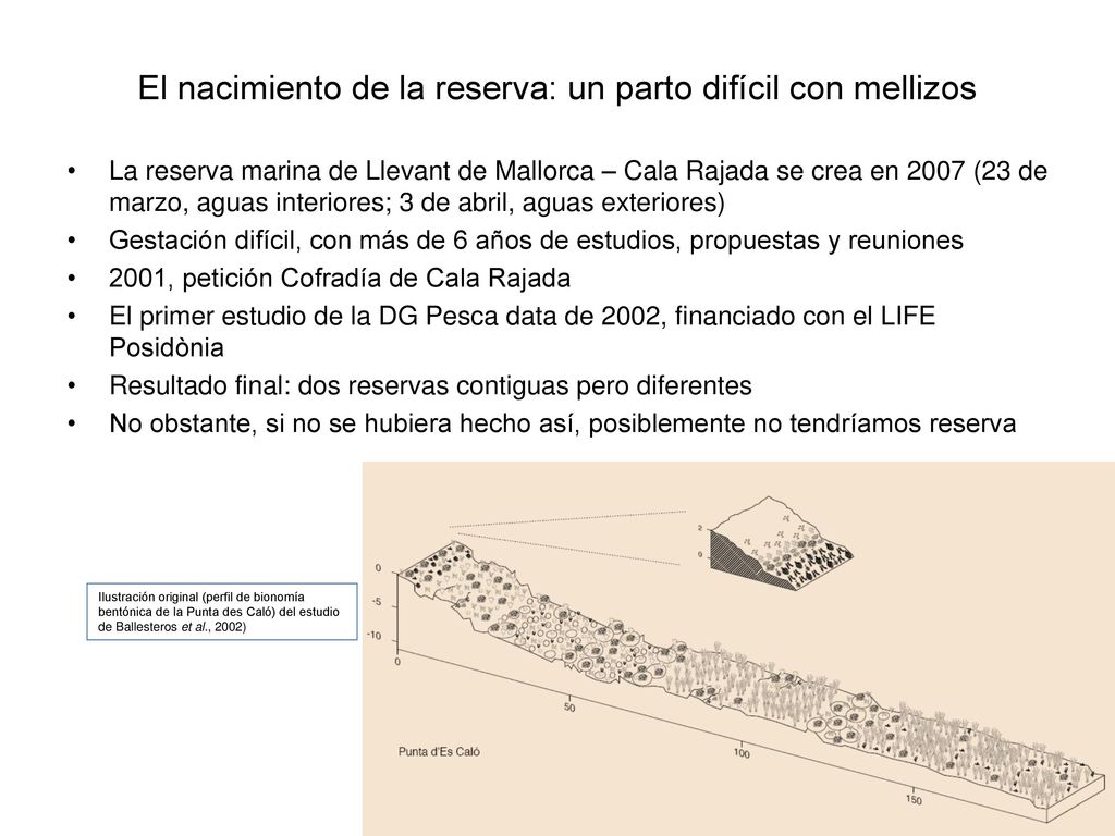 El nacimiento de la reserva: un parto difícil con mellizos