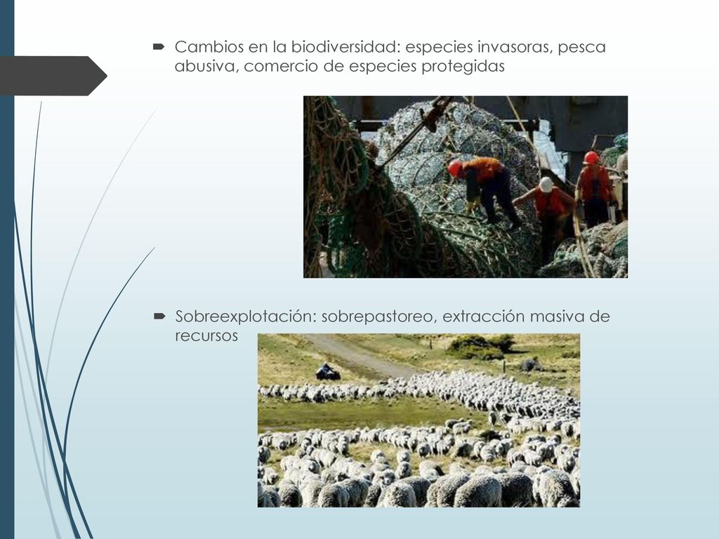 Cambios en la biodiversidad: especies invasoras, pesca abusiva, comercio de especies protegidas