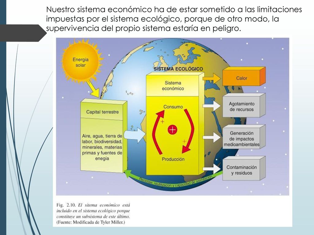 Nuestro sistema económico ha de estar sometido a las limitaciones impuestas por el sistema ecológico, porque de otro modo, la supervivencia del propio sistema estaría en peligro.
