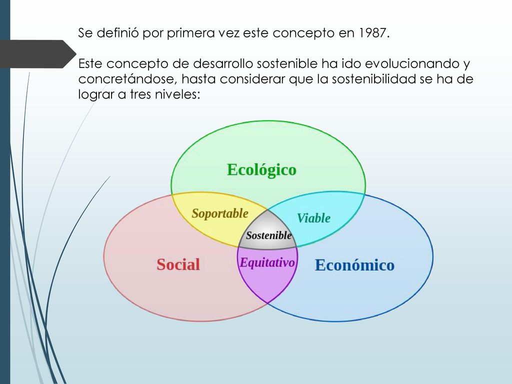 Se definió por primera vez este concepto en 1987.