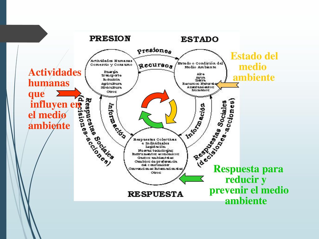Actividades humanas. que. influyen en. el medio. ambiente. Estado del. medio. Respuesta para.